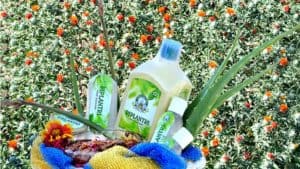 Aloe Vera gel made by the women of Piplantri village. image Credits: Lifegate