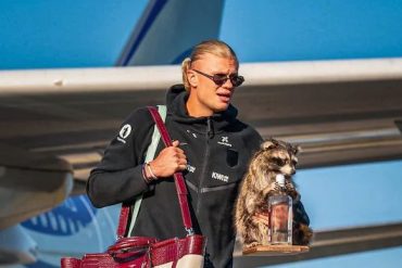 Norway striker Erling Haaland arrives carrying a taxidermied raccoon after the 2026 FIFA World Cup.